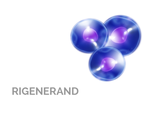 Rigenerand. Spin-off company in the field of regenerative medicine